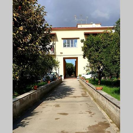 Appartamento In Villa Alle Falde Del Vesuvio Napoli Eksteriør bilde