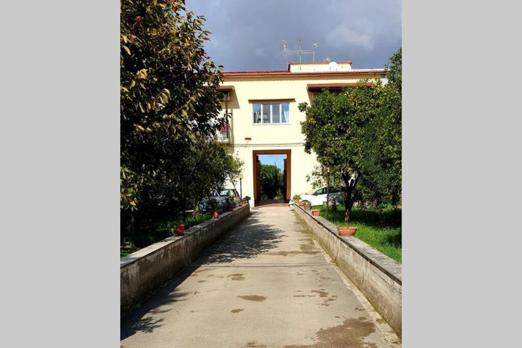 Appartamento In Villa Alle Falde Del Vesuvio Napoli Eksteriør bilde